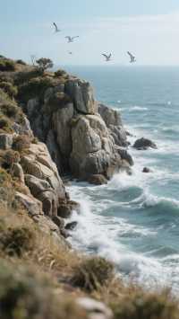 《比三亞近，比北海清！下川島——廣東人私藏嘅度假天堂》