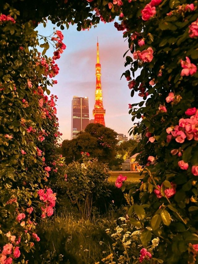 東京芝公園超詳細交通攻略，東京塔最佳打卡地 