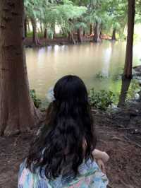 Kunming Day Trip