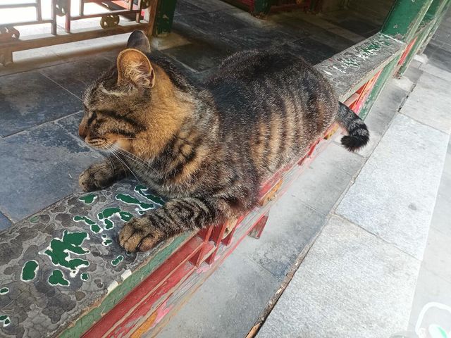 恭王府：一座宅院，半部清朝的故事