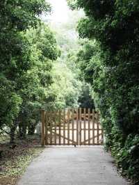 隱匿都市的花園國賓府邸——上海西郊賓館