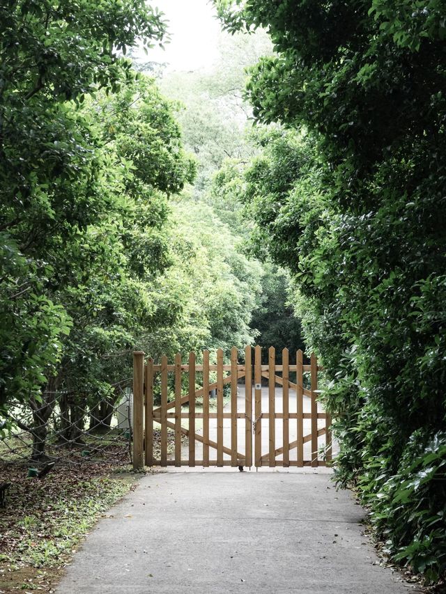 隱匿都市的花園國賓府邸——上海西郊賓館