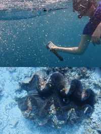 潛入上帝嘅水族箱
