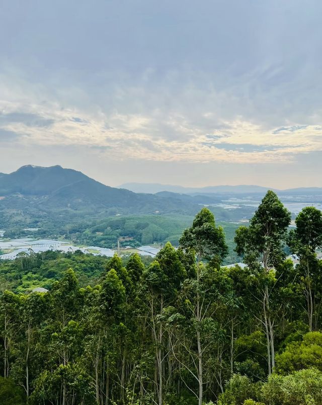 九侯山：半山禪意半山景