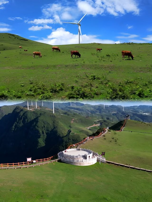 【6-8月必去！奔向22℃嘅夏天】