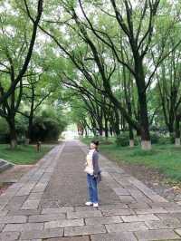 🌸 《夢回紅樓・上海大觀園》