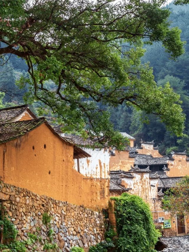 跟住攜程探索江南最後嘅秘境-松陽