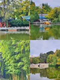 「昆明翠湖公園：城市中的詩意綠寶石」