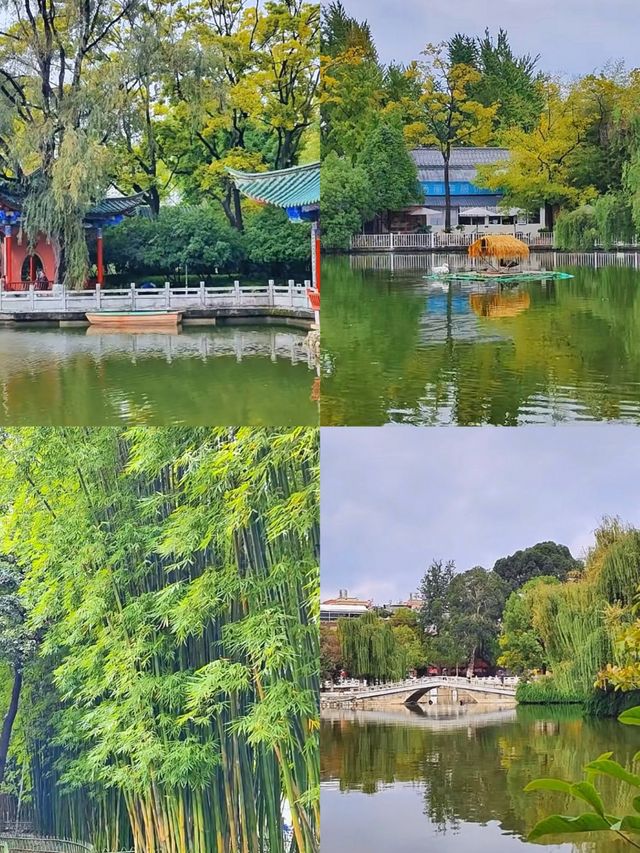 「昆明翠湖公園：城市中的詩意綠寶石」