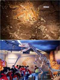 穿越1.8億年的奇幻之旅！雲陽恐龍化石地質公園攻略