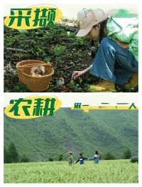 川西親子遊，帶娃不懼高山症嘅保姆級攻略