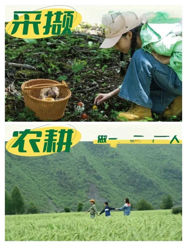 川西親子遊，帶娃不懼高山症嘅保姆級攻略