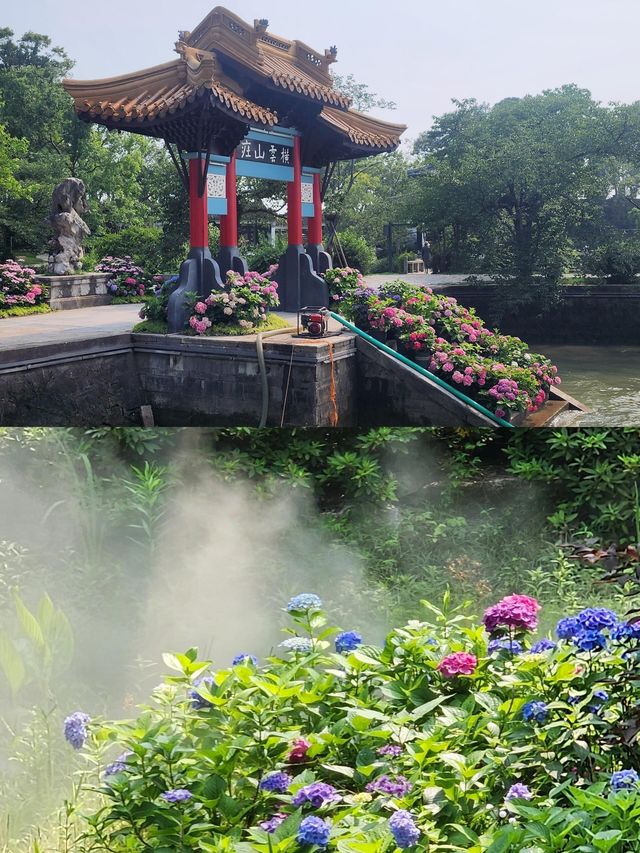 冇櫻花嘅黿頭渚仲值得嚟嗎