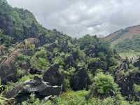 Jade stone forest 