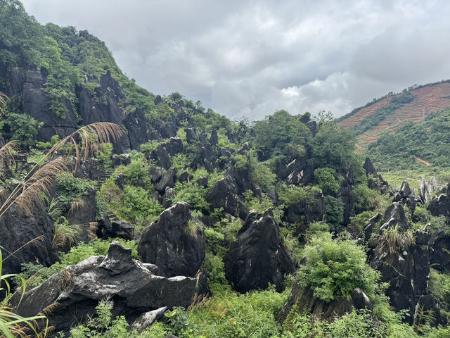 Jade stone forest 