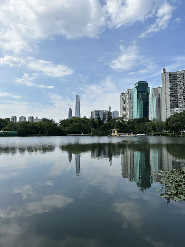 Lychee Park (Lizhi Gongyuan) – Shenzhen’s Urban Oasis Where Tech Titans Escape! 🌳🏙️