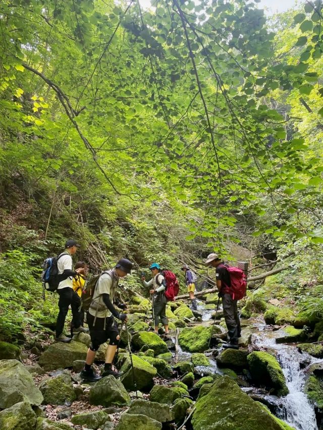 本溪｜淌石溝-東大崗-刺花溝