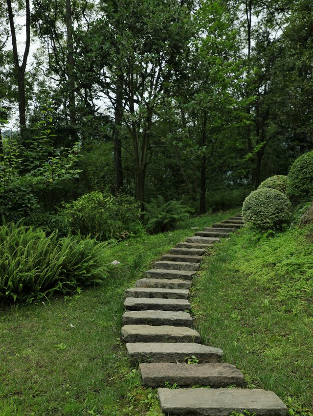 住進森林秘境，邂逅寧靜生活|青城山無境山居