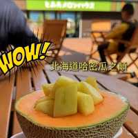 北海道哈密瓜之顛