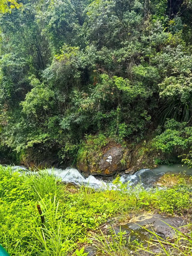 深圳2.5小時直達南昆山，避暑勝地！