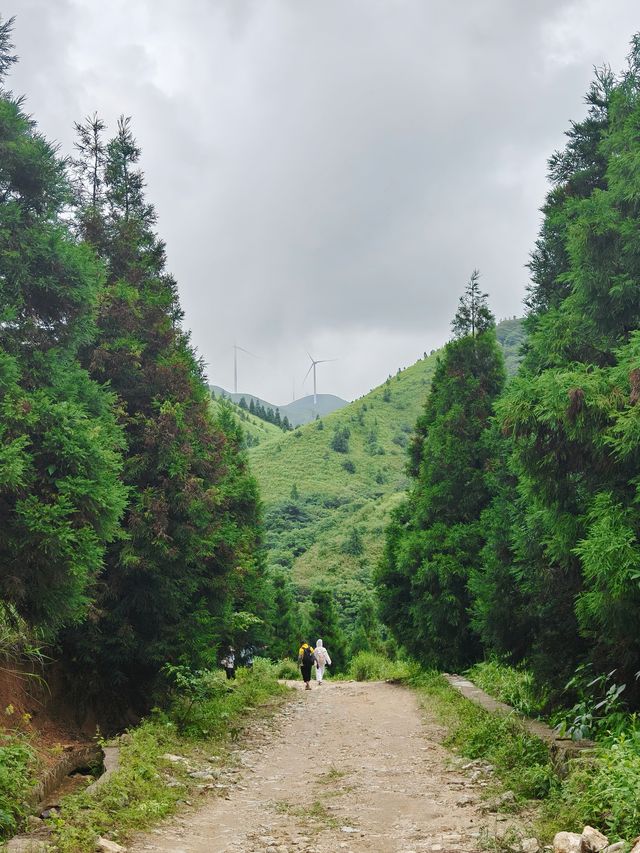 桂林茶坪：廣西都有自己嘅阿勒泰！