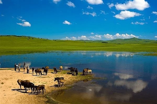 烏蘭布統秘境之旅：草原四季全攻略