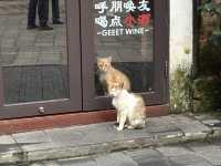 Tangjia Old Town’s treasures