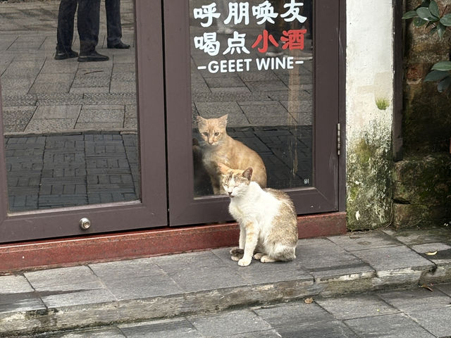 Tangjia Old Town’s treasures