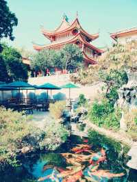 禪意縈繞｜探尋廈門天竺岩寺的千年靜謐】**  
