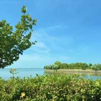 🚗🌊 Dianshan Lake & Panlong Tiandi Day Trip (Shanghai)*