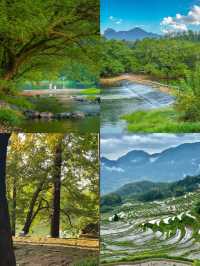 縉雲麗水 | 被《國家地理》評為「江南最後秘境」，仙氣不輸黃山！
