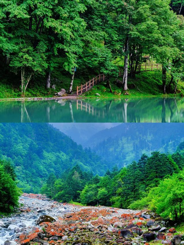 週末48小時,從成都逃進23℃的山裡! 週末48小時,從成都逃進23℃的山裡!