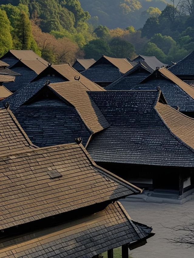 普洱帶娃四天三夜，這7個坑讓我想跳茶山！