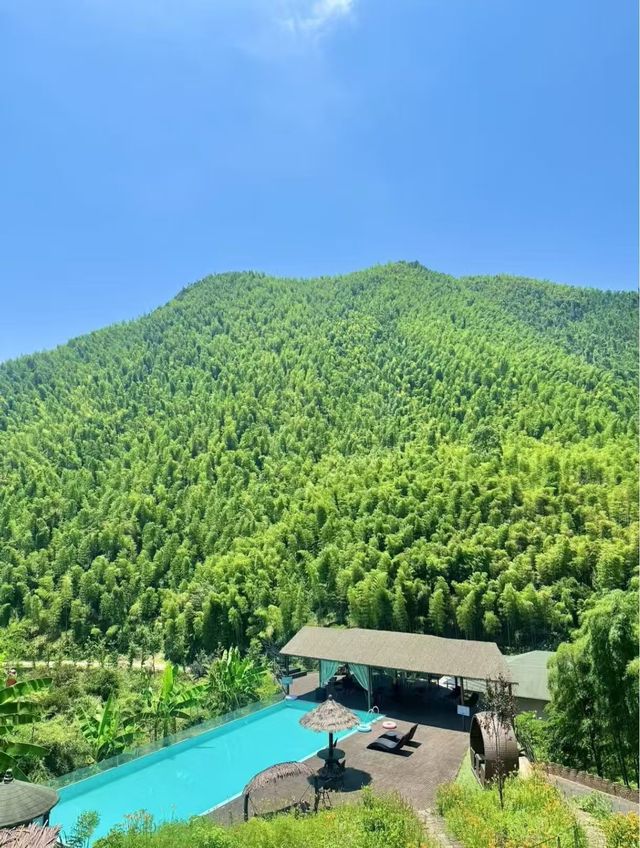 在衢州!住進森林小木屋超chill 在衢州!住進森林小木屋超chill