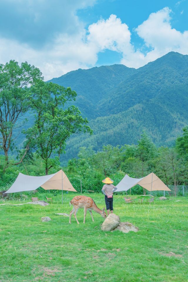 廣西避暑秘境 解鎖貓兒山窩囊玩法 廣西避暑秘境 解鎖貓兒山窩囊玩法