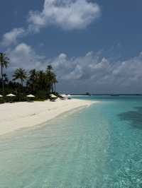 A Paradise Island Experience