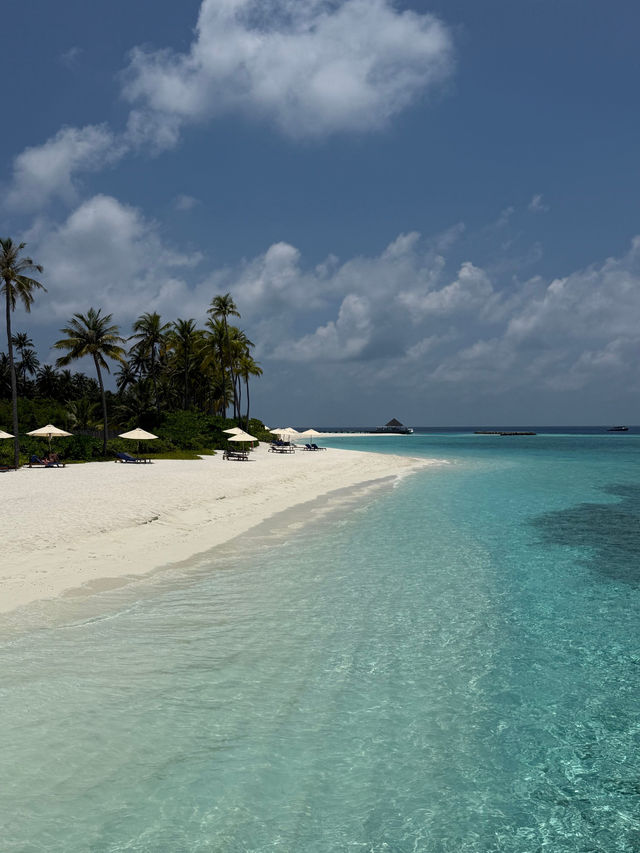 A Paradise Island Experience A Paradise Island Experience