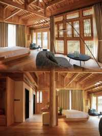 太哇塞了！第一次體驗智能木屋，野奢新體驗