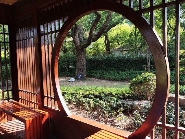 虹迎大草坪