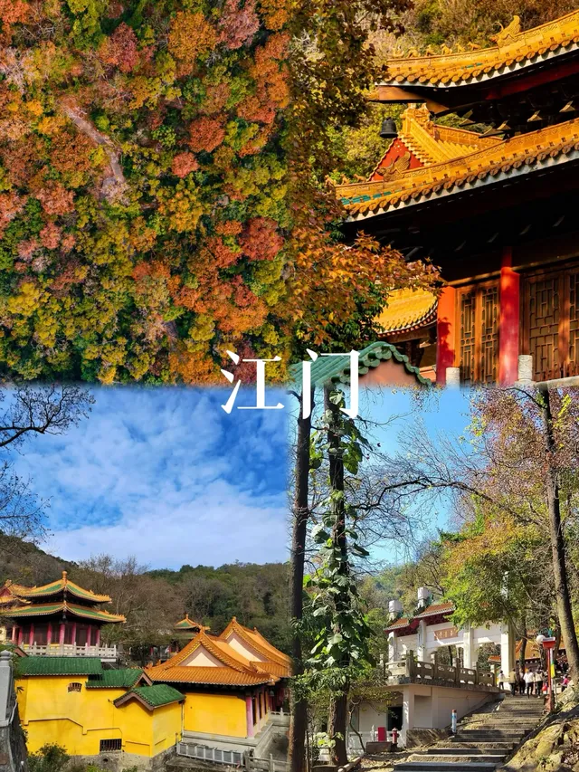 廣東省內|五個11月深秋必去的團建旅行地