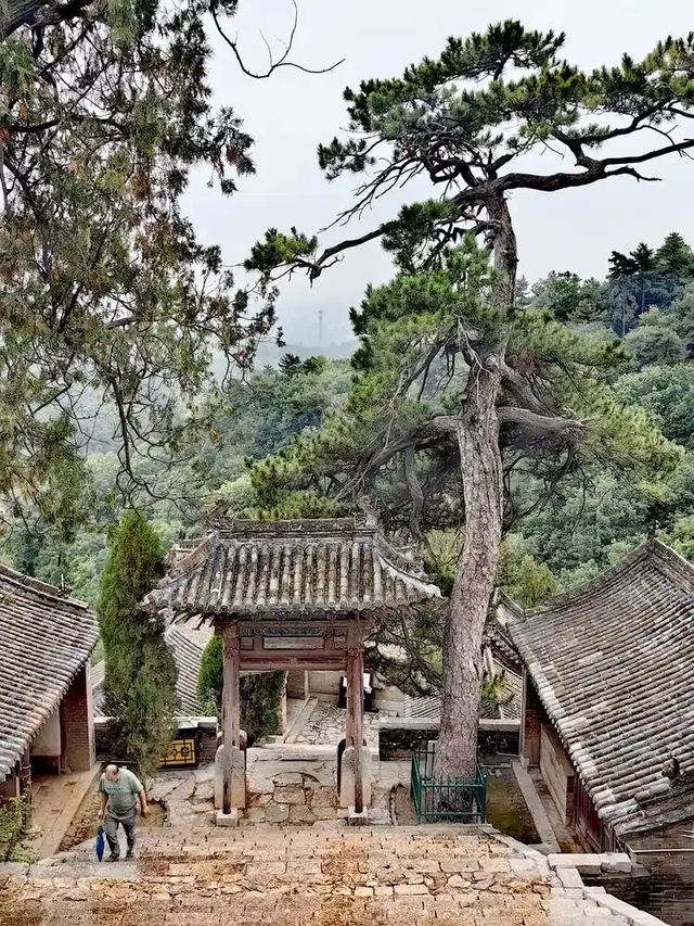 邊個識呀！陽泉藏咗座「神仙小山」，影相出片率100%，人均50玩到爽✨
 
各位！今日掘到寶喇！喺