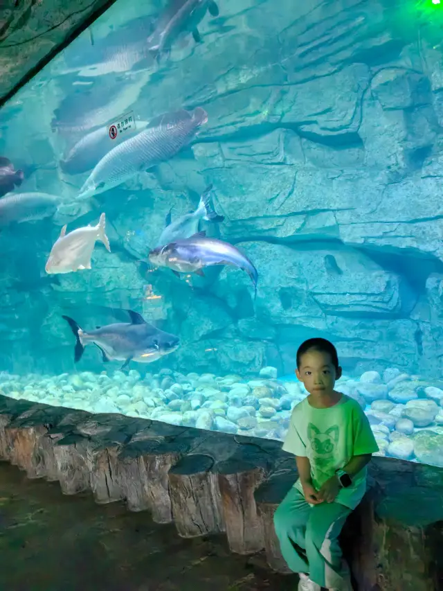 歐樂堡海洋極地世界，親子遊必打卡極地世界