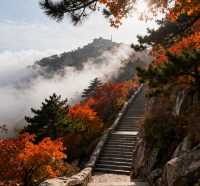 泰山初秋攻略 | 登高賞景正當時，雲海紅葉兩相宜！