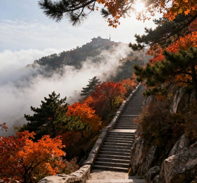 泰山初秋攻略 | 登高賞景正當時，雲海紅葉兩相宜！