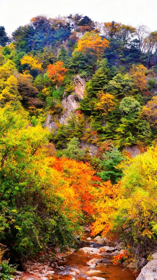秦嶺之秋的 天花板 秦嶺之秋的 天花板