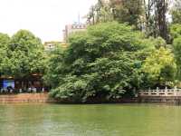 昆明靈魂的後花園——翠湖公園