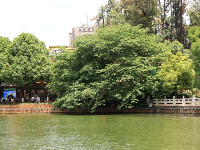 昆明靈魂的後花園——翠湖公園