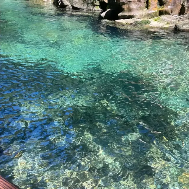 肇慶4天3晚旅遊攻略