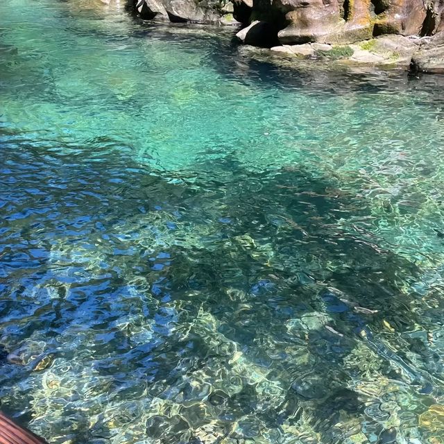 肇慶4天3晚旅遊攻略