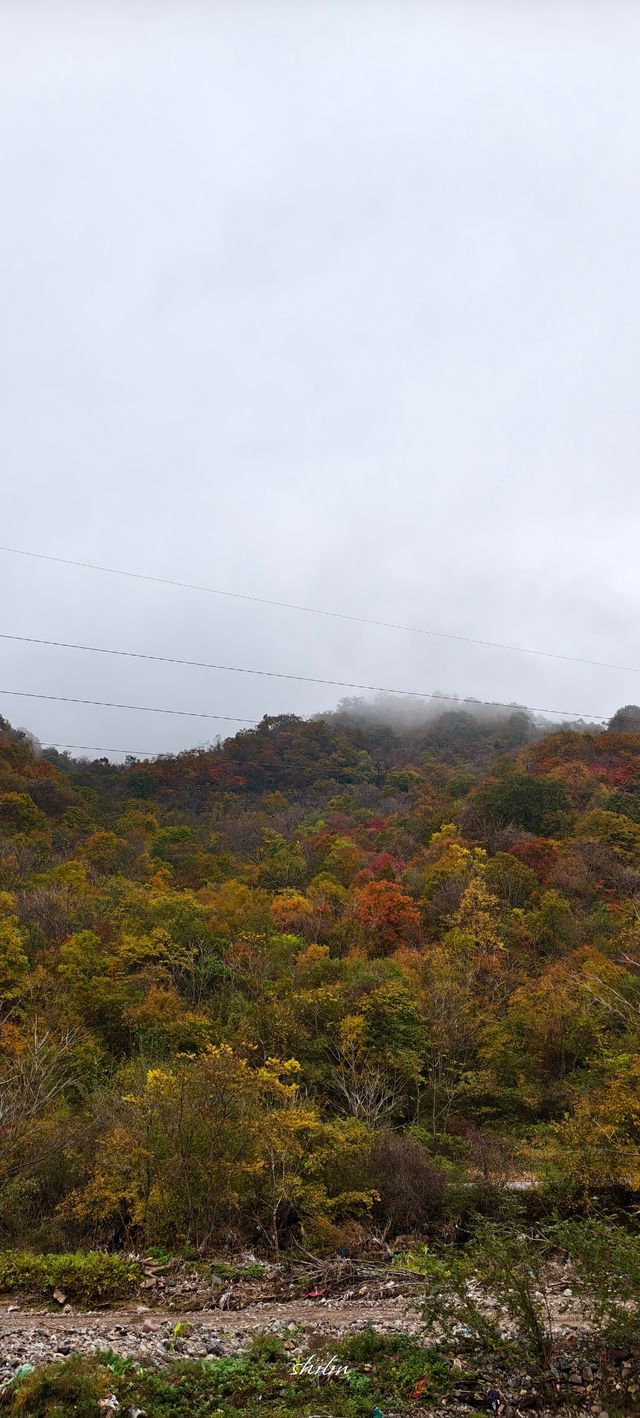 東北秋天的顏色
